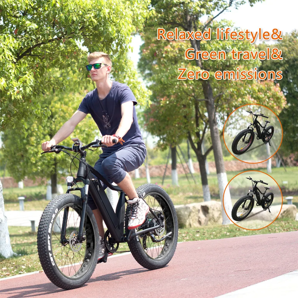 North American market E bike 36V 10AH lithium battery 250w 750W rear brushless hub motor mountain electric bicycle