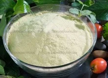 Hot Selling Amino Acids Improving Immunity Extraction Plant