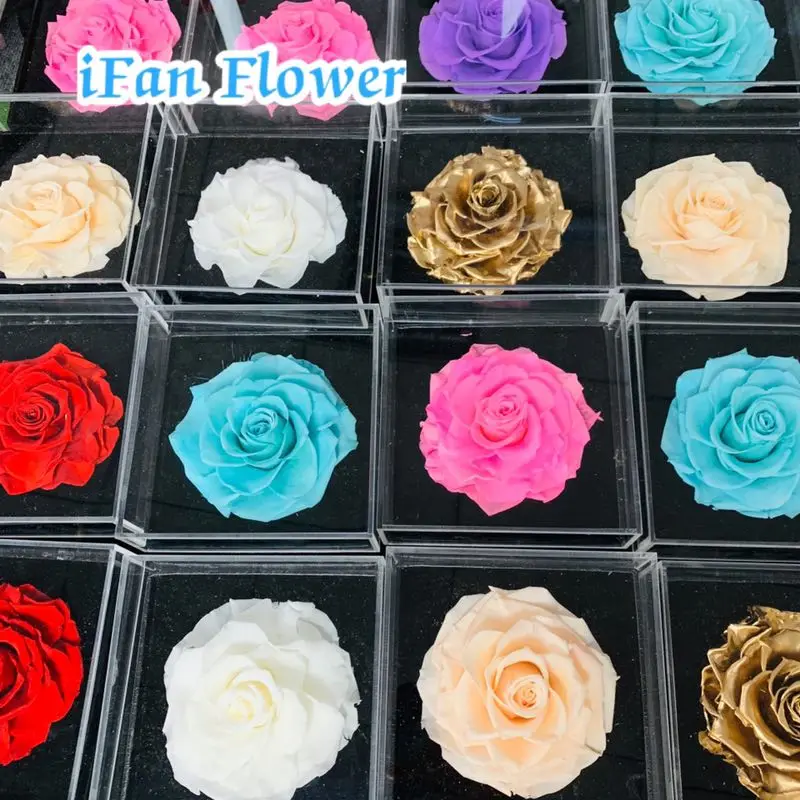 Unique Purple queen color wholesale preserved rose flower ecuador wholesale flowers