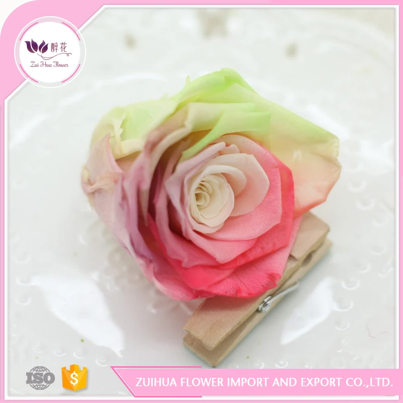 Оптовая продажа консервированных роз