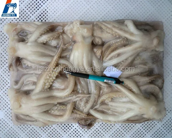 Illex/Gigas Giant /Pacific Squid frozen squid tentacles on sale