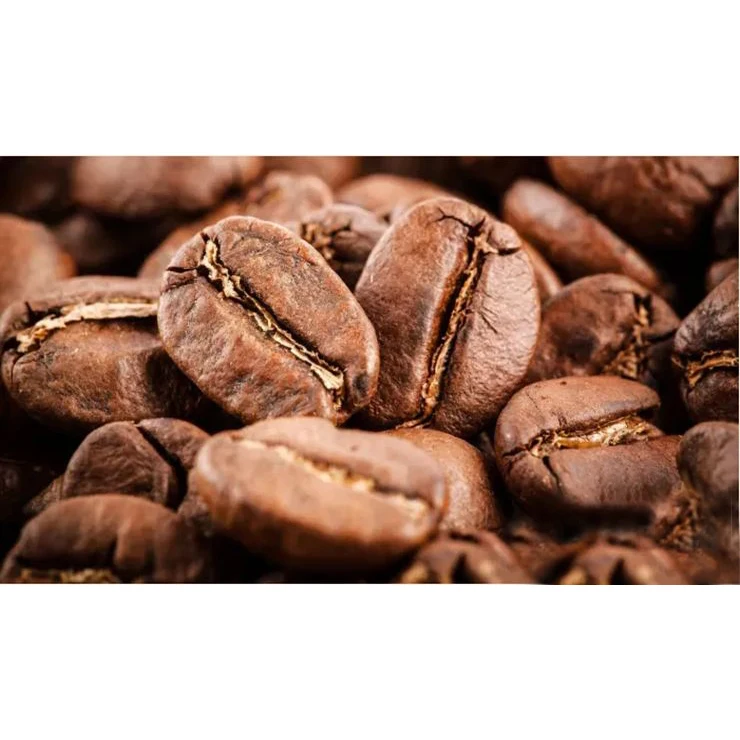 
Bulk Brazil Robusta Coffee Beans Green Coffee 