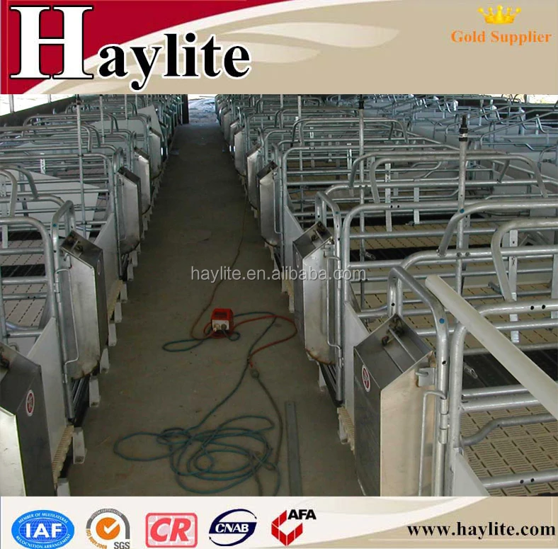 Wholesale PVC board steel sow farrowing crates for mother pig
