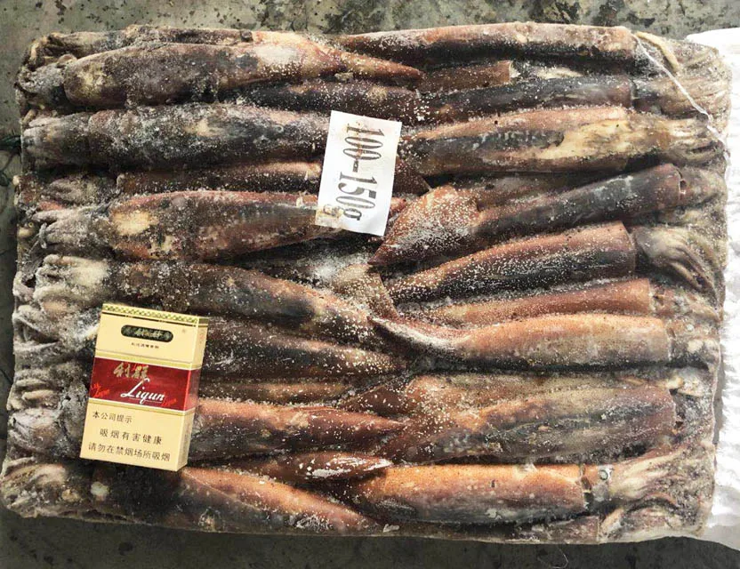 Замороженный кальмар Todarodes Pacificus