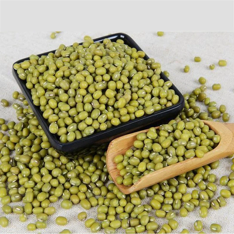 Grade A organic round green beans