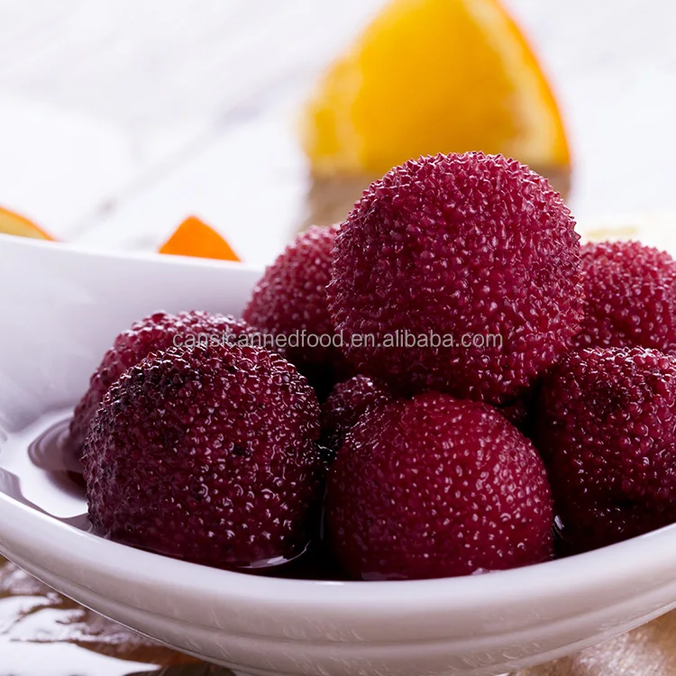 Canned Food Canned Waxberries in Syrup Popular in Middle East