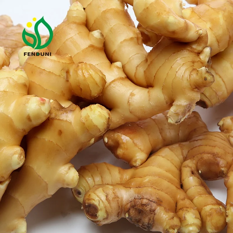 Chinese Mature Fresh Ginger For Sale(Mesh Bag Packaging)