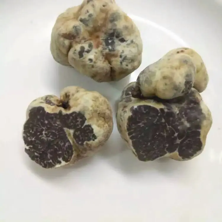 
Wild Dried White Truffle Whole Prices 