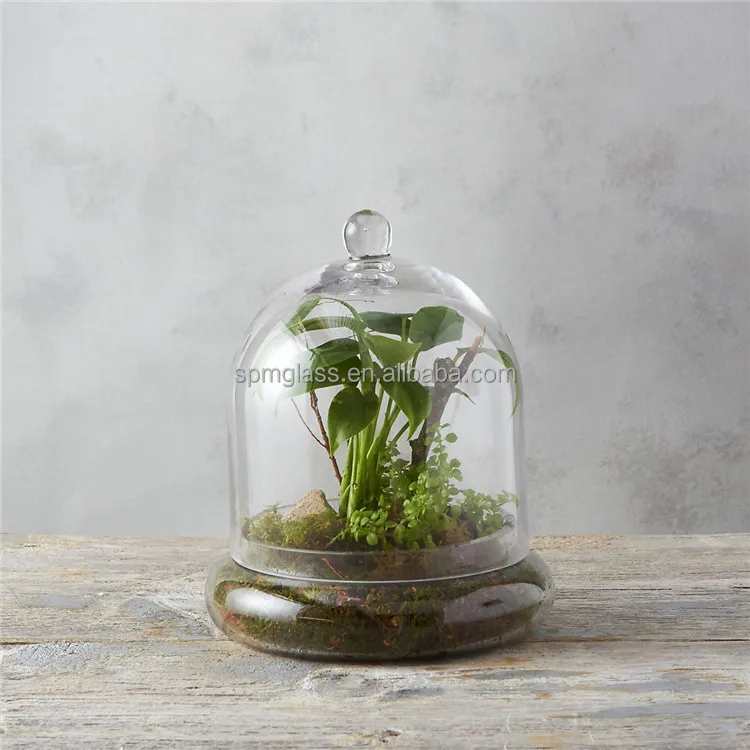 garden dome cloche terrarium glass vase for plants