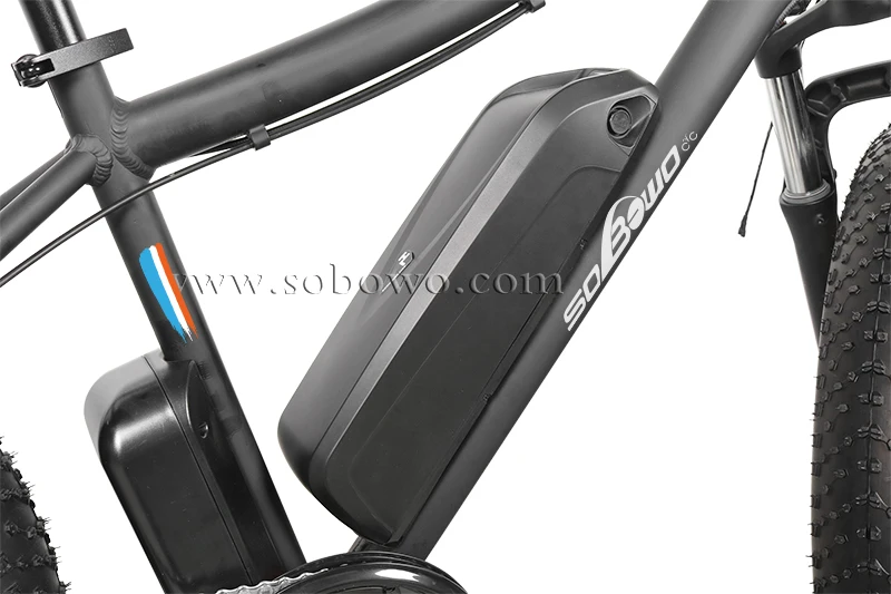 SOBOWO S34 36V 350W Bafang Motor Schwinn Electric Bicycle With Suspension