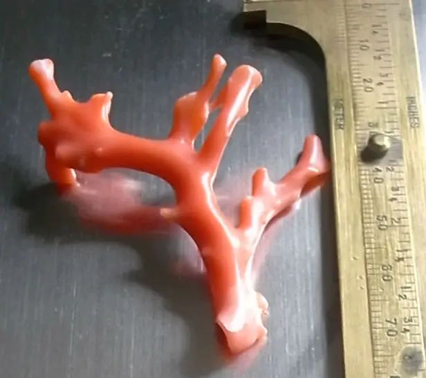 
Genuine Pink Coral Branch JP Corallium Secundum 