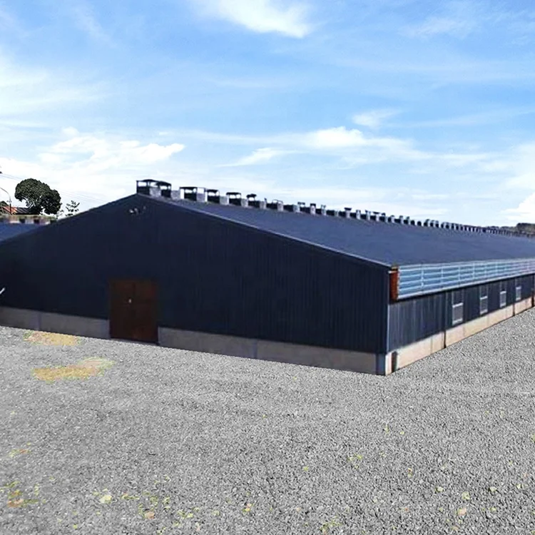 Автоматическая птицеферма батарея курица Клетка дом для продажи