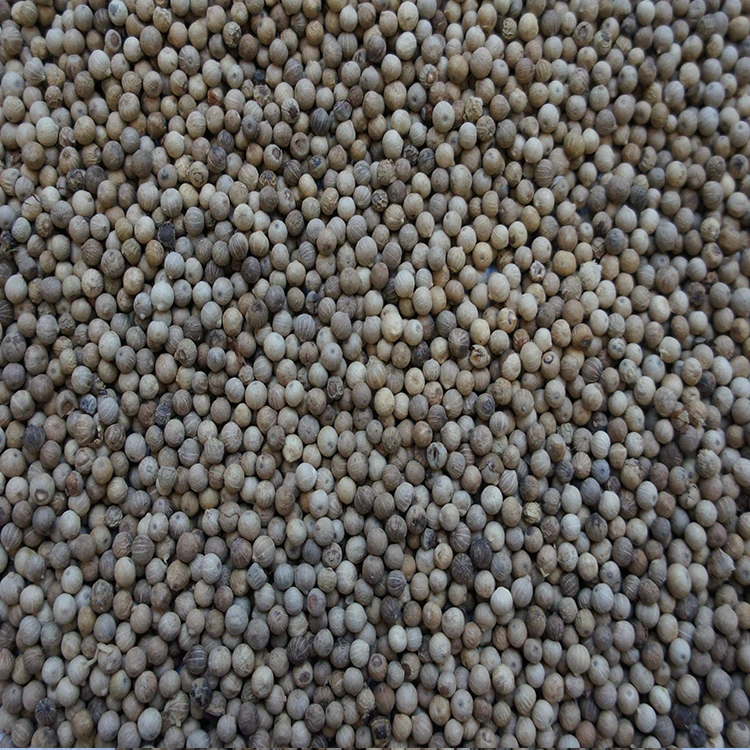 
Supplier High Quality Round White Pepper 