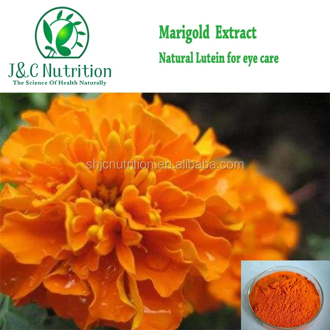 Free of sample for 100% Pure Marigold extract, Lutein powder, high quality Lutein in bulk