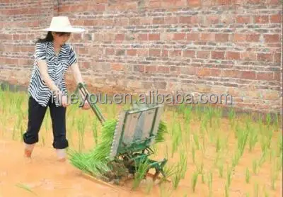 Two - line manpower step back mini rice transplanter