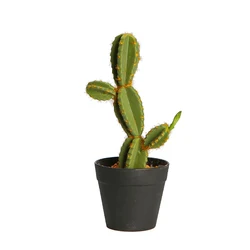 Home decoration cheap best selling artificial cactus potted 23 cm mini green decorative plants