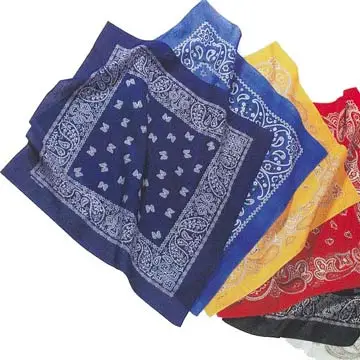Красивый платок Bandanna с индивидуальным логотипом