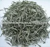 
organic silver needle white tea 