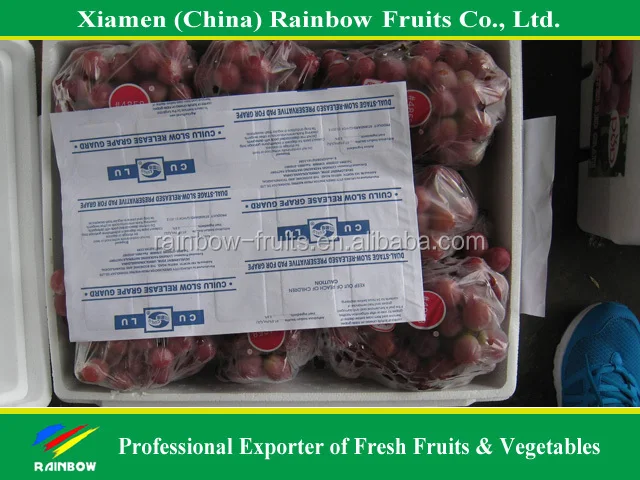 
Fresh grapes china with top quality 