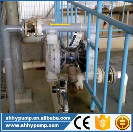High Suction Lift Pneumatic Diaphragm Mini Slurry Pump