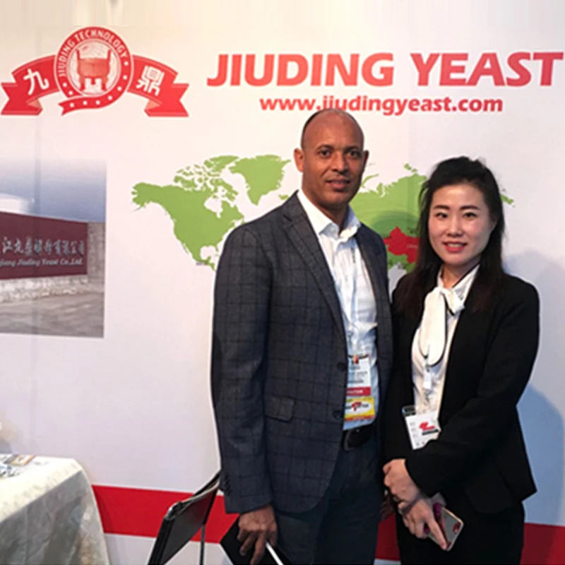 
Professional Instant Dry Yeast saccharomyces cerevisiae Manufacturer bakery Yeast Factory with HACCP,HALAL,ISO,BV Certificate 