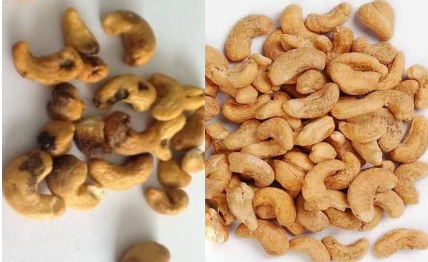 Automatic Coffee Peanut Nut Sorter/Color Separator/Beans Sorting by Chinese Factory