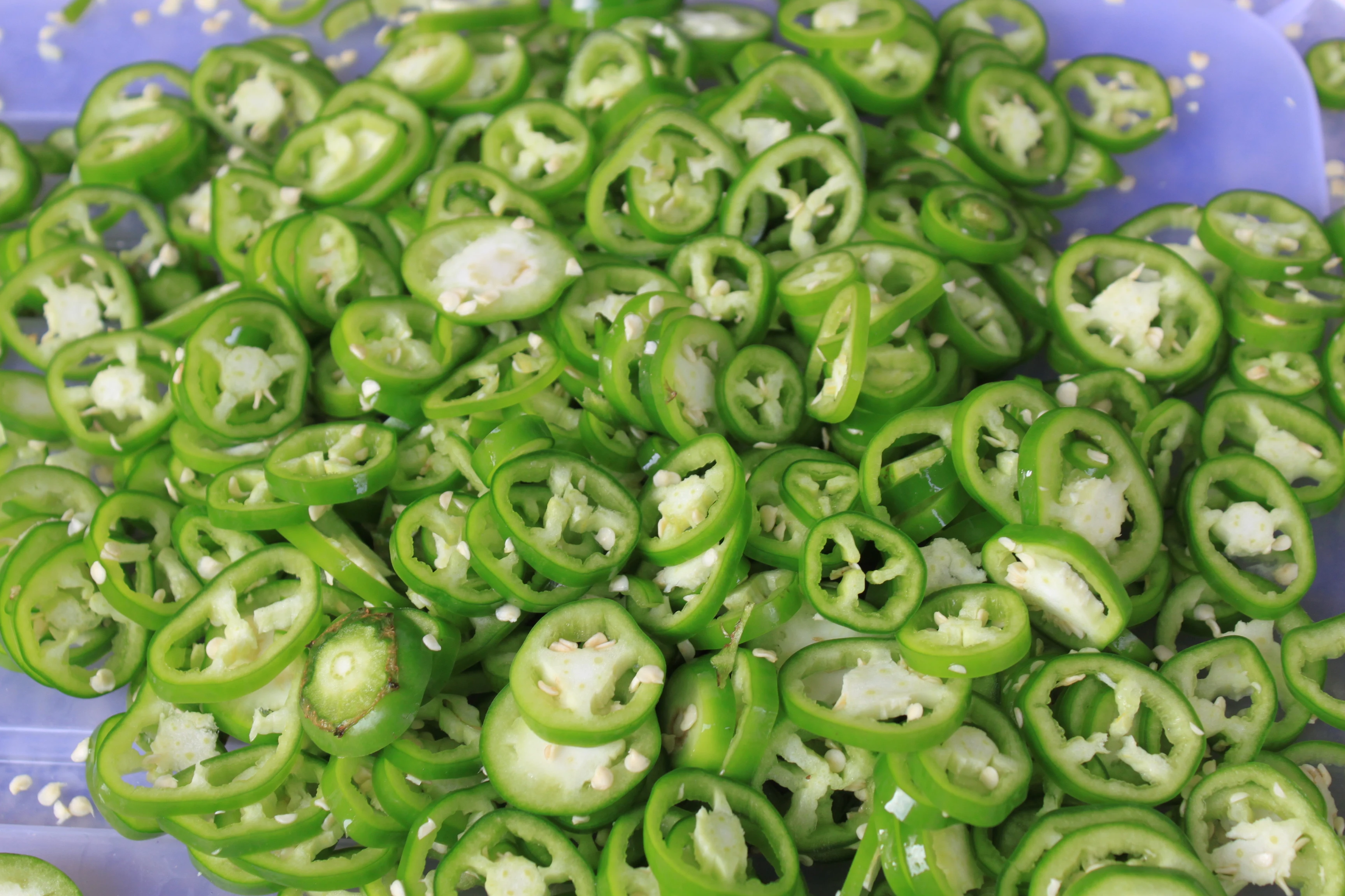 Kitchen Restaurant Leafy Vegetable Cutter Spring Onion Celery Pepper Ring Okra Cutting Machine