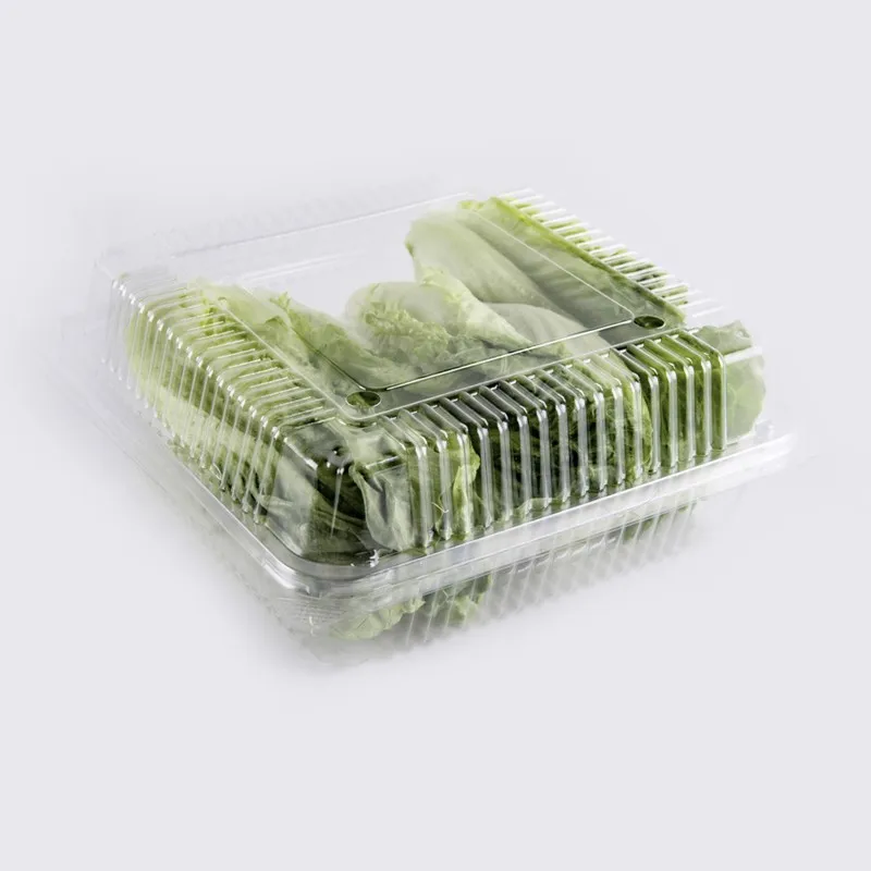 Reusable PET Plastic Clamshell Punnet Disposable Storage Tray Food Vegetables Fruits Supermarket Quality Clear Fruit Containers