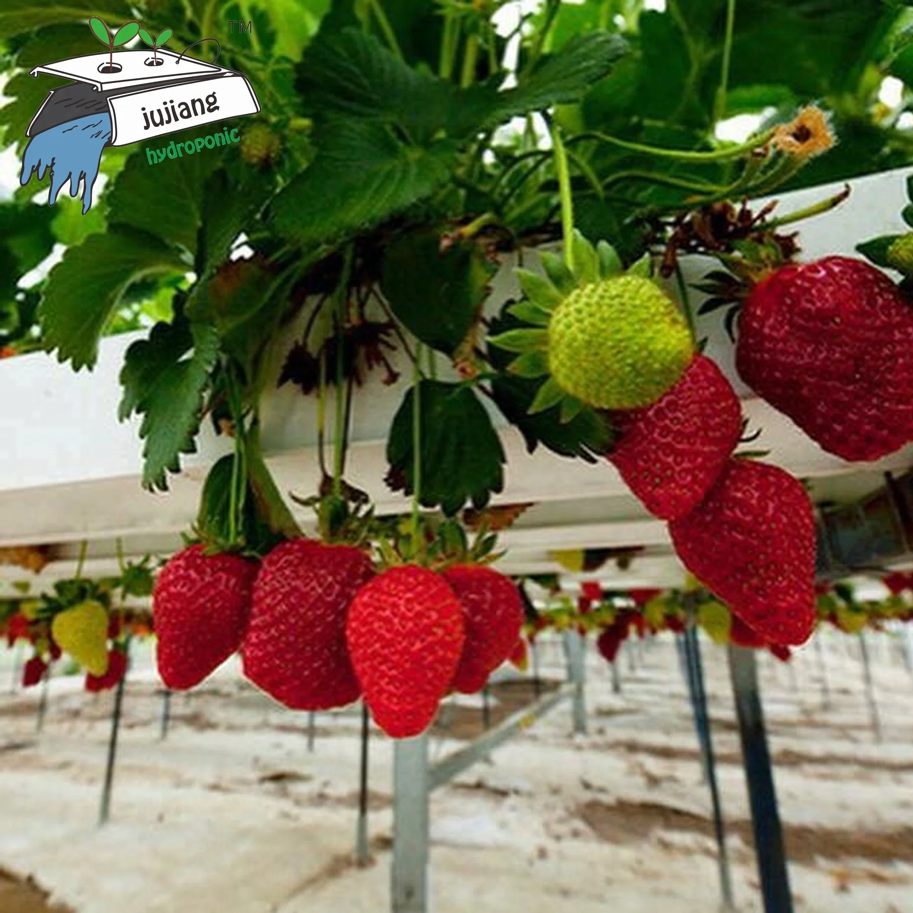 Каналы из ПВХ 100 50 мм и фитинг для гидропонных систем NFT-water out let