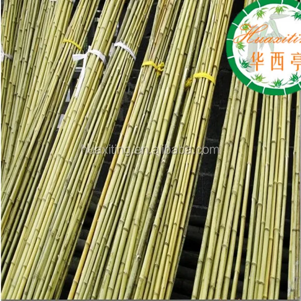Бамбуковые палочки зеленого цвета/бамбуковое ограждение