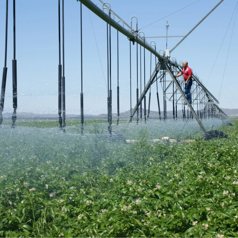 Agricultural Irrigation Machine Lateral Move Irrigation System