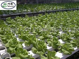 Agricultural Expanded Perlite As Hidroponic Plants Substrate
