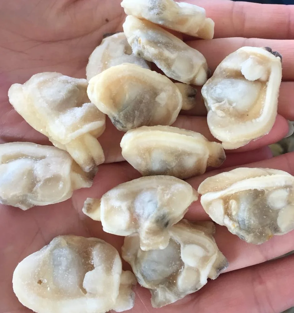 Wholesale Frozen Natural IQF Frozen Cooked Short Necked Clam Meat