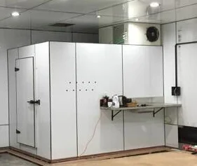 mini cold room/small cold storage/cool room for food