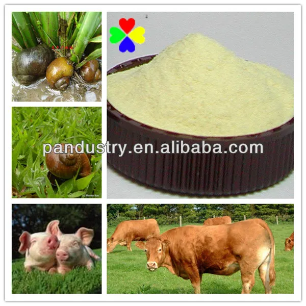 
Factory Supply best Price of Niclosamide 98%TC 70%WP 