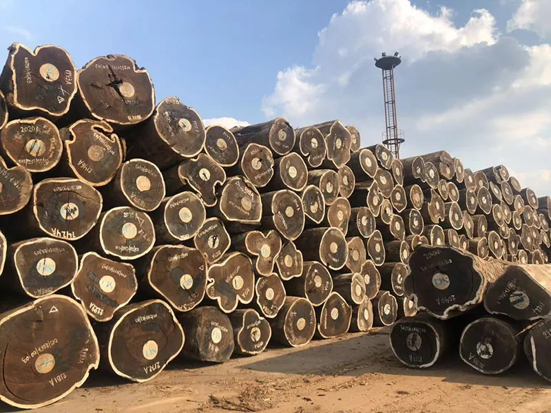 Дешевые деревянные бревна Wenge /Teak / IROKO/bilinga