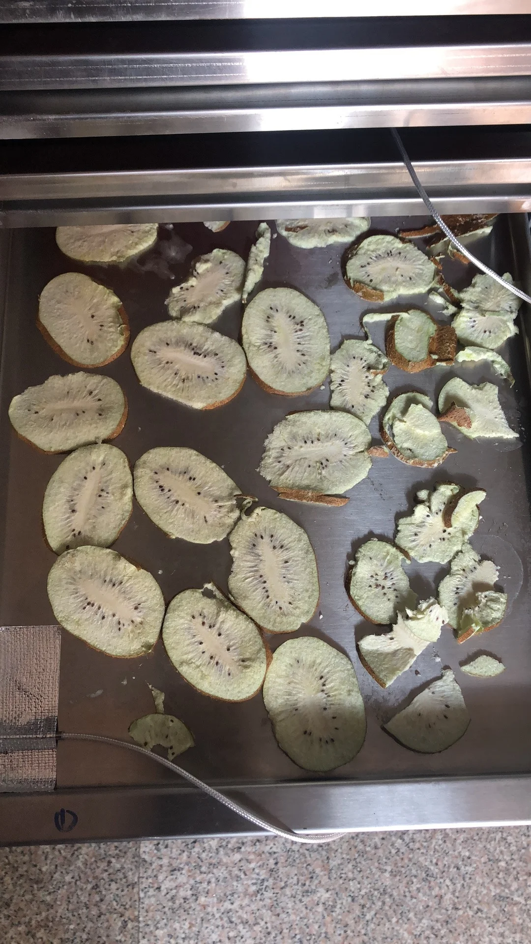 
New Generation 0.6m2 (square) Home Application Fruit Vacuum Freeze Dryer Lyophilizer 