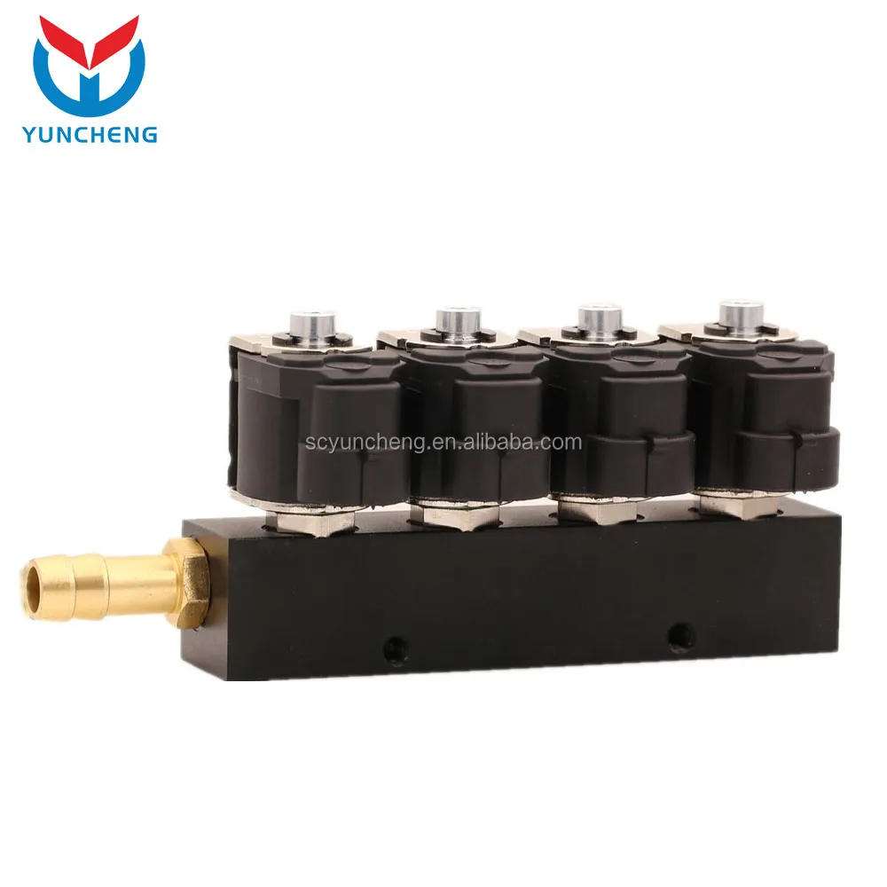 YCI01017 Auto Car Cng Lpg Gas Conversion Kit Injector Rail
