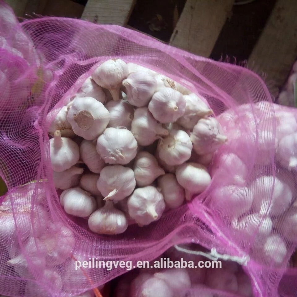fresh garlic China factory 2018