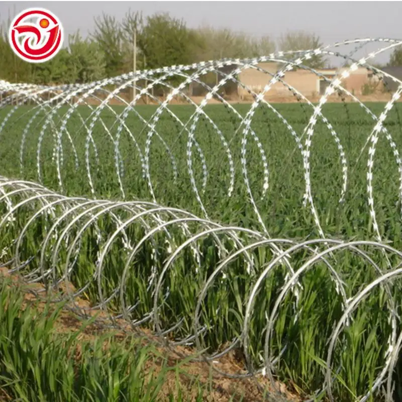 Hot solution, cheap price barbed wire for airport