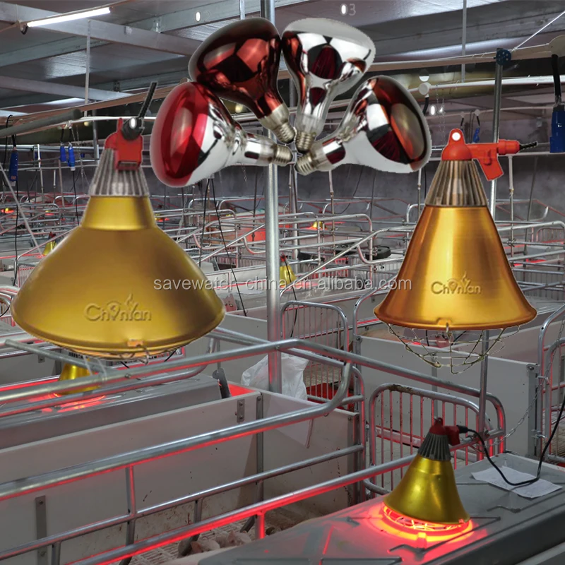 Infrared Heat Lamp Shade With Lighting Bulb For Poultry/Animals Pig/Cattle/Sheep/Chiken