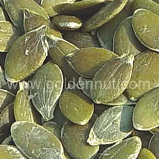 Wholesale organic pumpkin seed GWS for edible