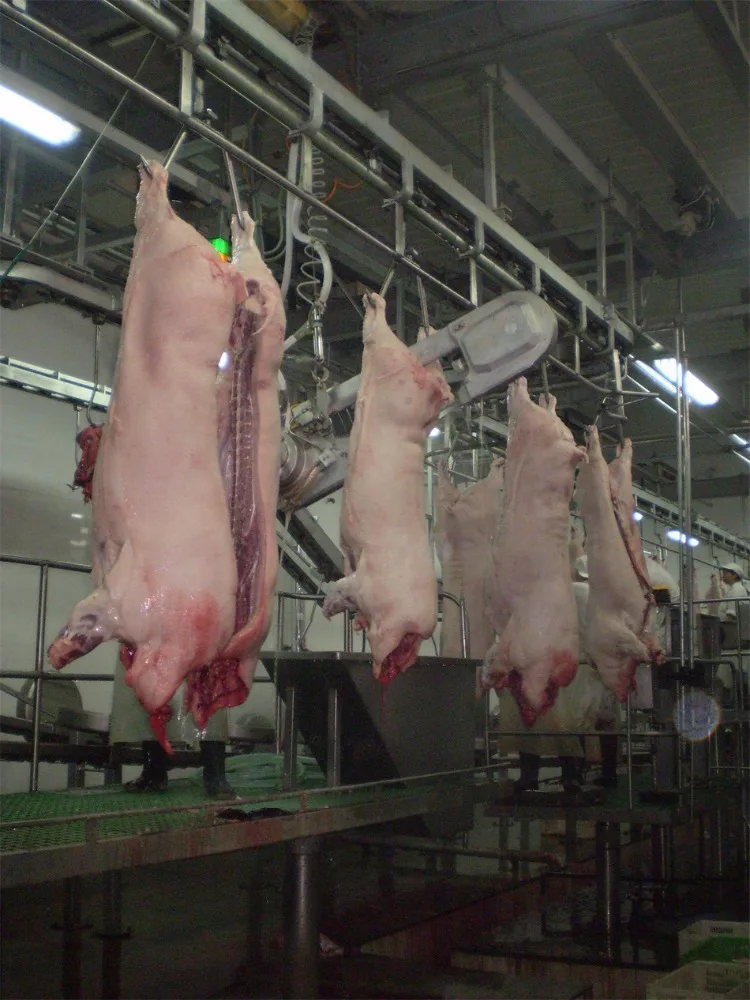 10heads~500heads/hour Complete Pig Slaughtering Line