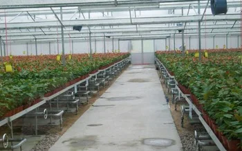 Seeding Bed For Greenhouse, Movable Seed bed,Hydroponic ABS rolling bench
