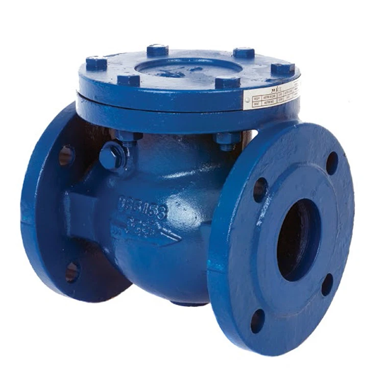 DN50-DN600mm material EN-GJL-250 BS F6 check valve