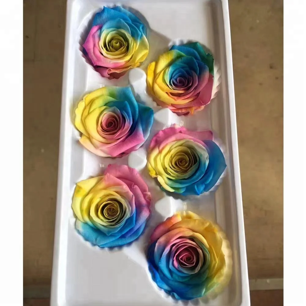 Unfading preserved rainbow rose in promotion