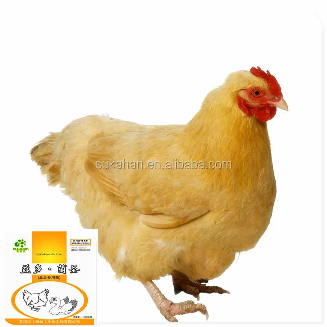 
animal feed additives /chicken /cattle /cow /sheep export Turkey 