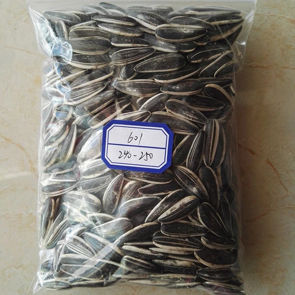 
High quality chinese sunflower seeds 601 