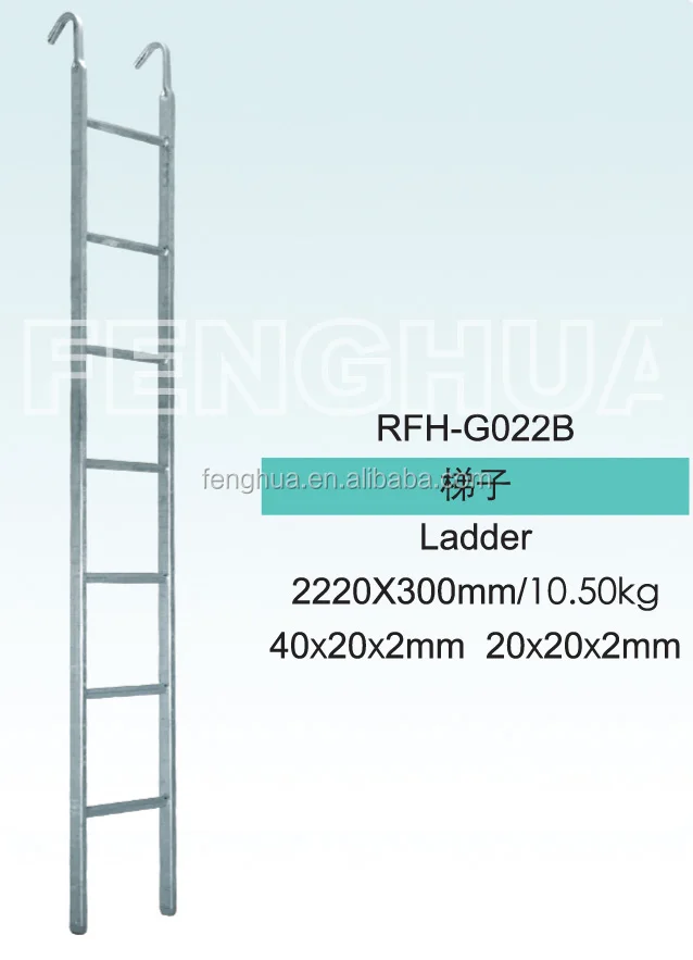 Scaffolding ladder