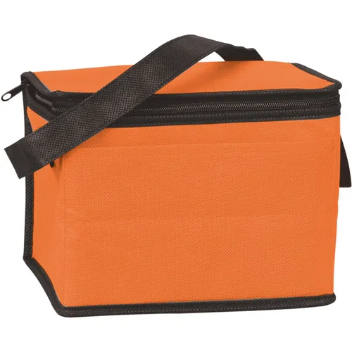 
non woven Thermal Lined Reusable 6 pack can Wine Cooler Bags 